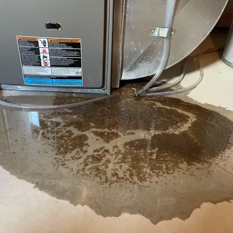 Appliance Leak Cleanup in Dilworth, MN